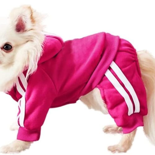 XS Small Dog Puppy Outfits - Tracksuit, Jumpsuit, Hoodie, Chihuahua Clothes, Button Pullover Striped 4 Legs Dogs Winter Cotton Sweatshirt