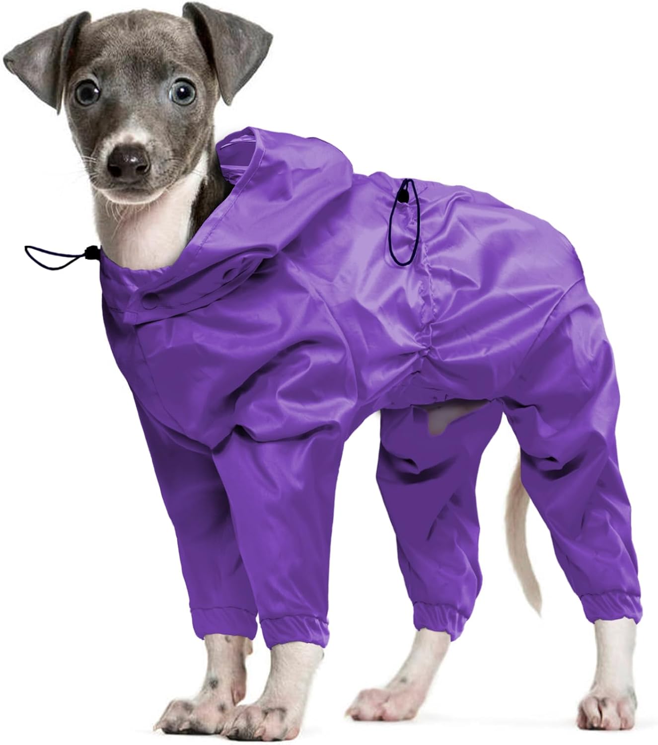 Dog Raincoat, Dog Rain Jacket with Clear Hooded for Medium Dogs, Waterproof Full Body Dogs Poncho, Rain Coat, Rainwear, Schnauzer, Pug (Purple M)