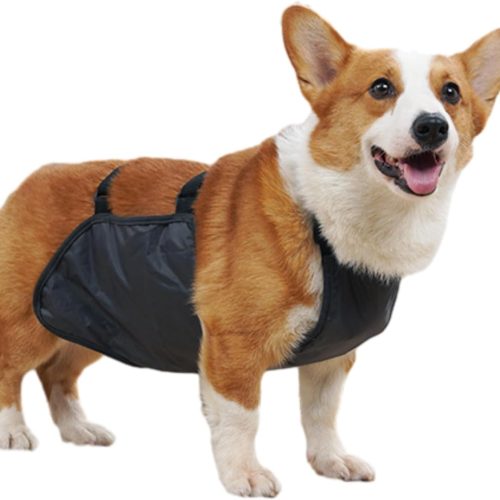 Waterproof Corgi Raincoat - Dog Belly Vest & Chest Protector, Breathable, Anti-Dirty Pet Apparel for Dogs(Gray,XL)
