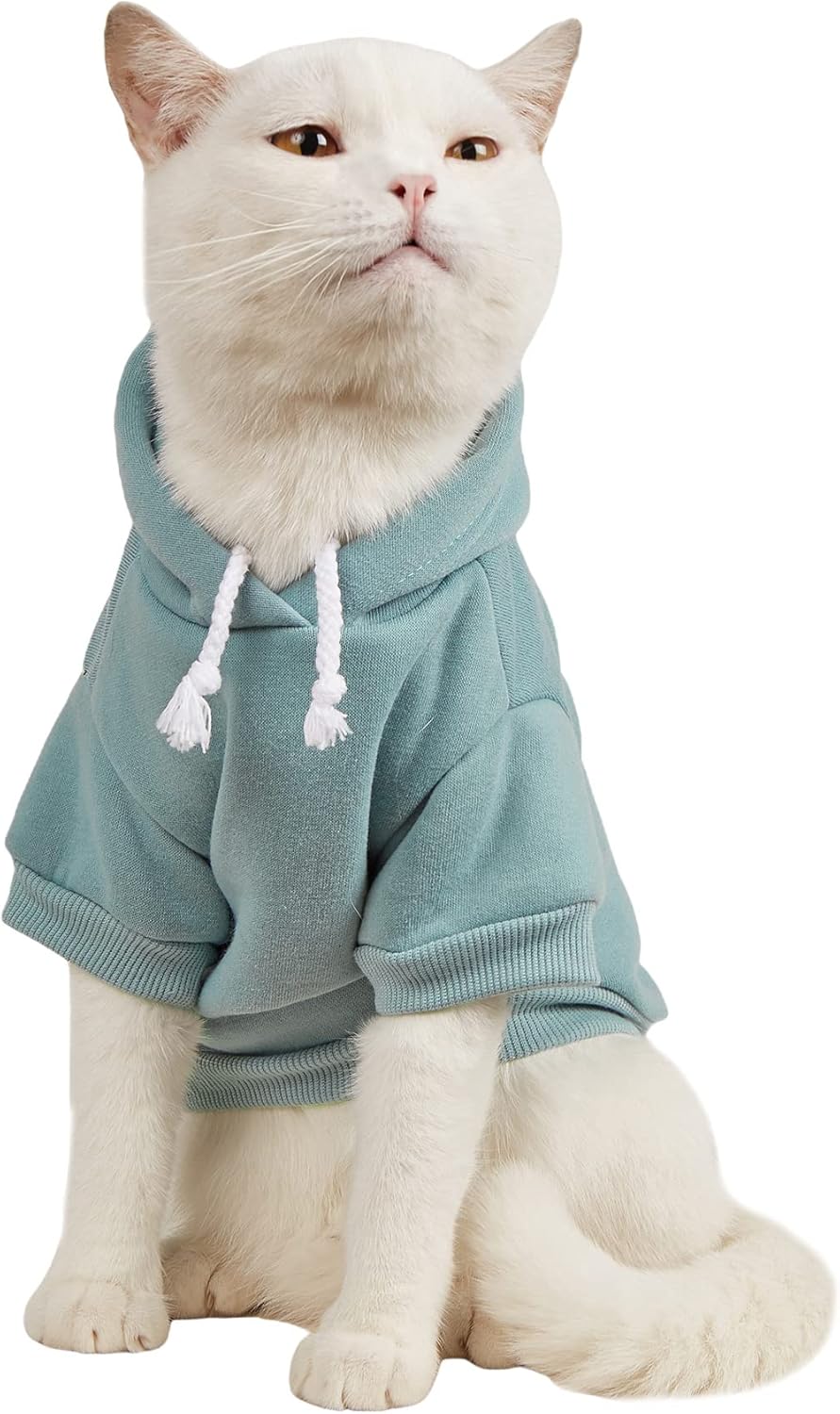 Basic Dog Hoodie Sweatshirt Puppy Sweater Warm Cat Costumes Pet Clothes for Chihuahua Puppy Kitten Small Medium Dogs Cadet Blue Medium