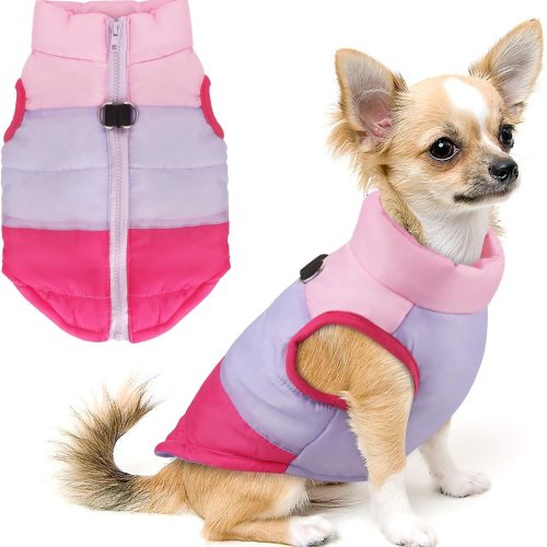 Pet Dog Cat Coat with Leash Anchor Color Patchwork Padded Puppy Vest Jacket Teddy Chihuahua Costumes Pug Cloth XS S M L (Small, Rose Red)