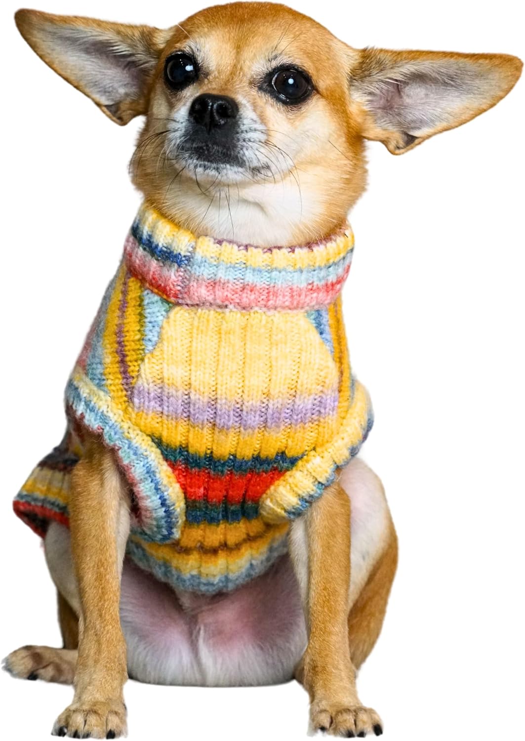 Dog Sweater, Award-Winning , Christmas Sweater for Dogs, Knit, Soft & Warm, Gradient Effect, Best for Small Dogs, 18" Back Length, Machine Washable